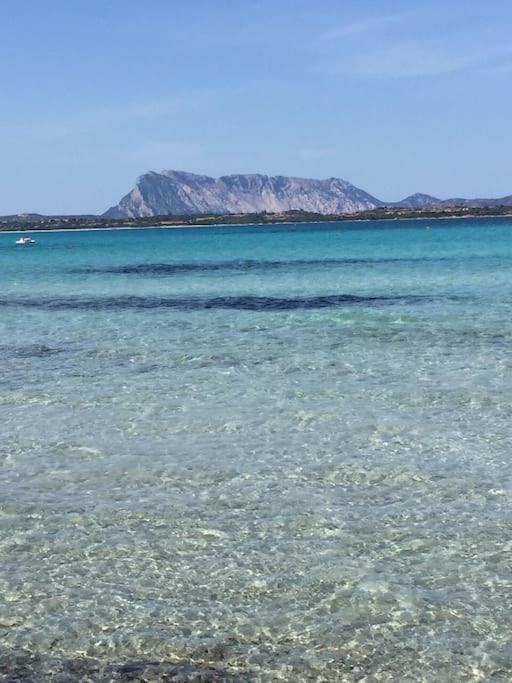 Camera Sole Olbia Dış mekan fotoğraf