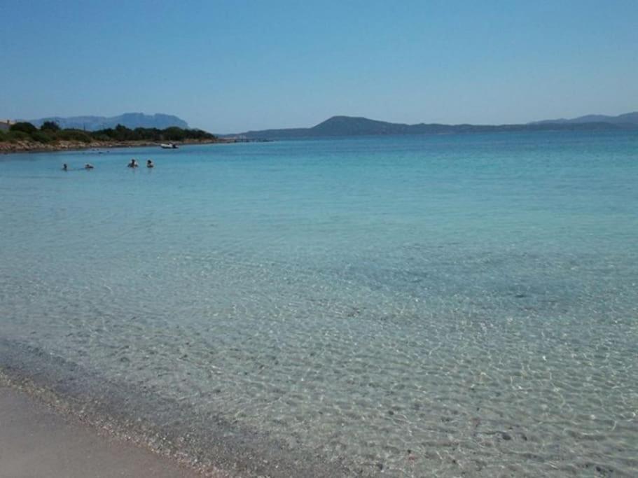 Camera Sole Olbia Dış mekan fotoğraf